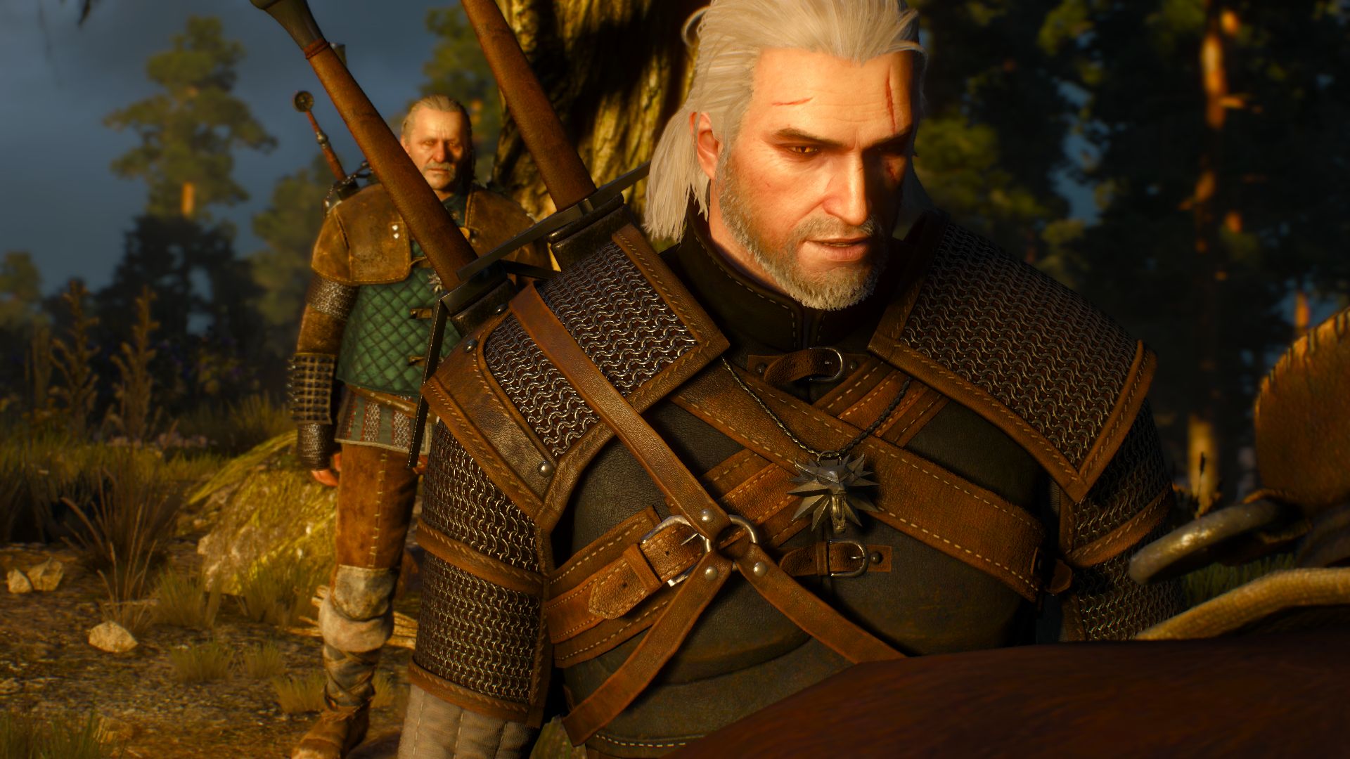 Ведьмак полное имя. Ведьмак 3. Ведьмак 3: Дикая охота. The Witcher 3: Wild Hunt (2015). Ведьмаки в Ведьмак 3.