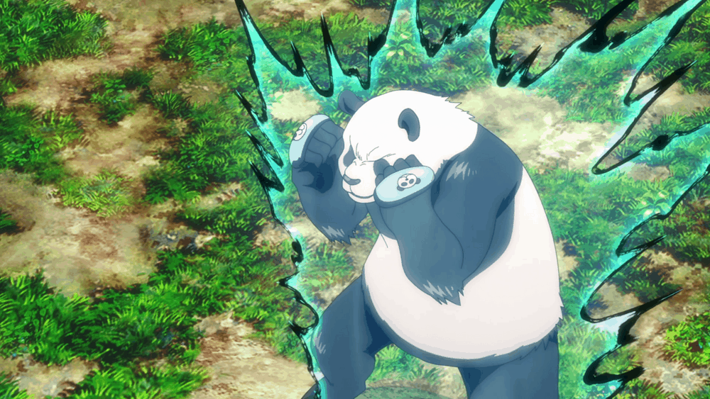 Panda in combattimento