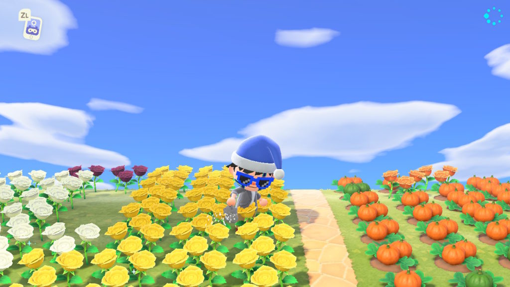 Annaffiare dei fiori su Animal Crossing: New Horizons