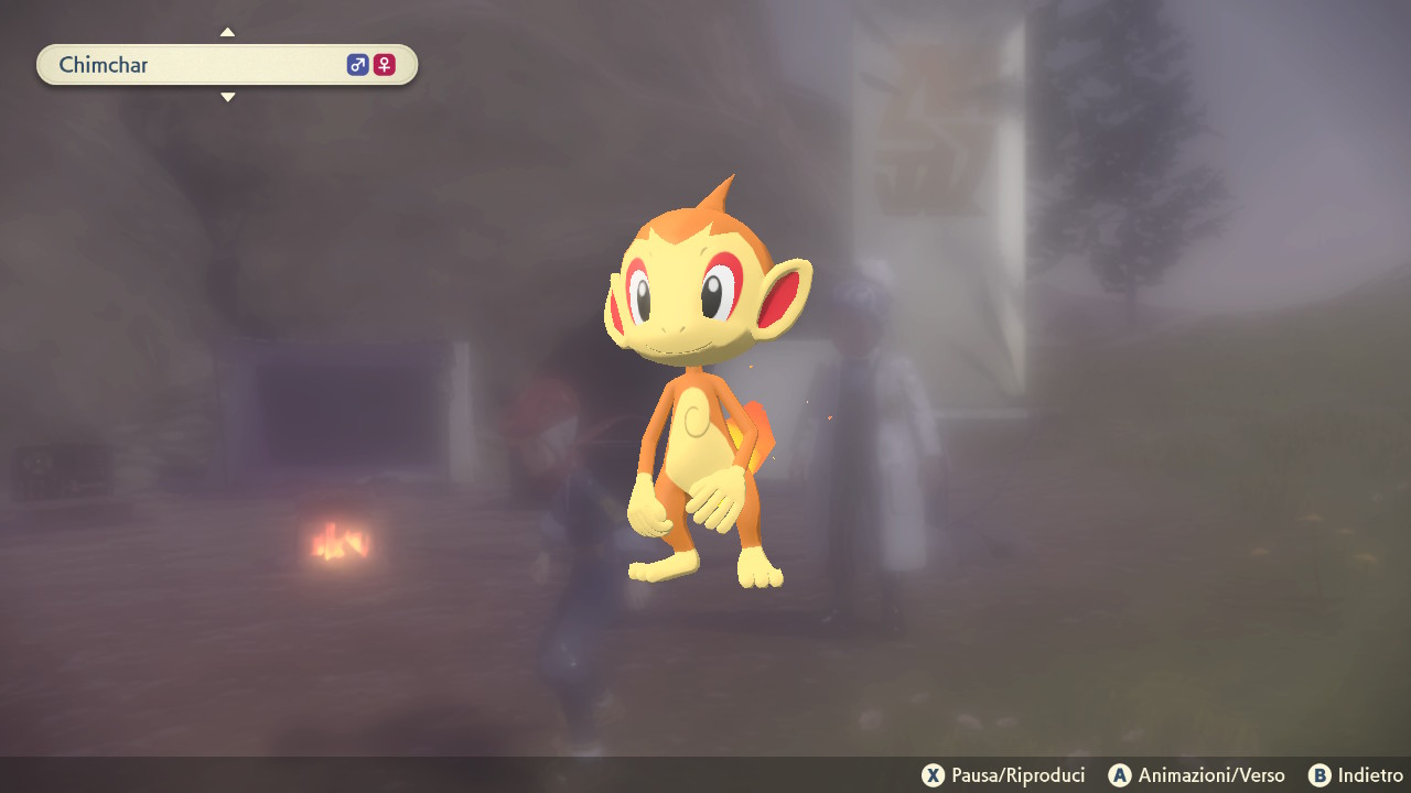 Evoluzione Chimchar